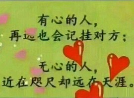 ◆◇の沫沫守候﹎主播照片
