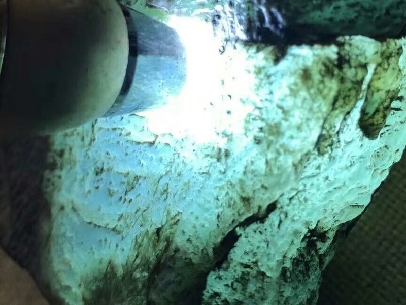 玉友精品原石的主播海报