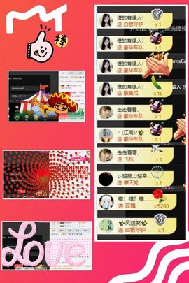 海鸽休息几天主播照片