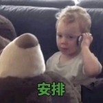 春风何曾晚比秋
