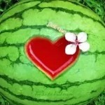 俺相公💝的头像