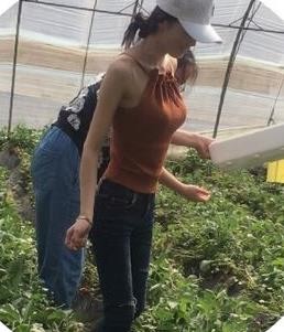 八百米主播照片