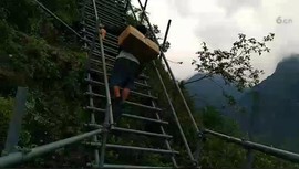 八百米主播照片