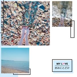 搜索房号70009主播照片