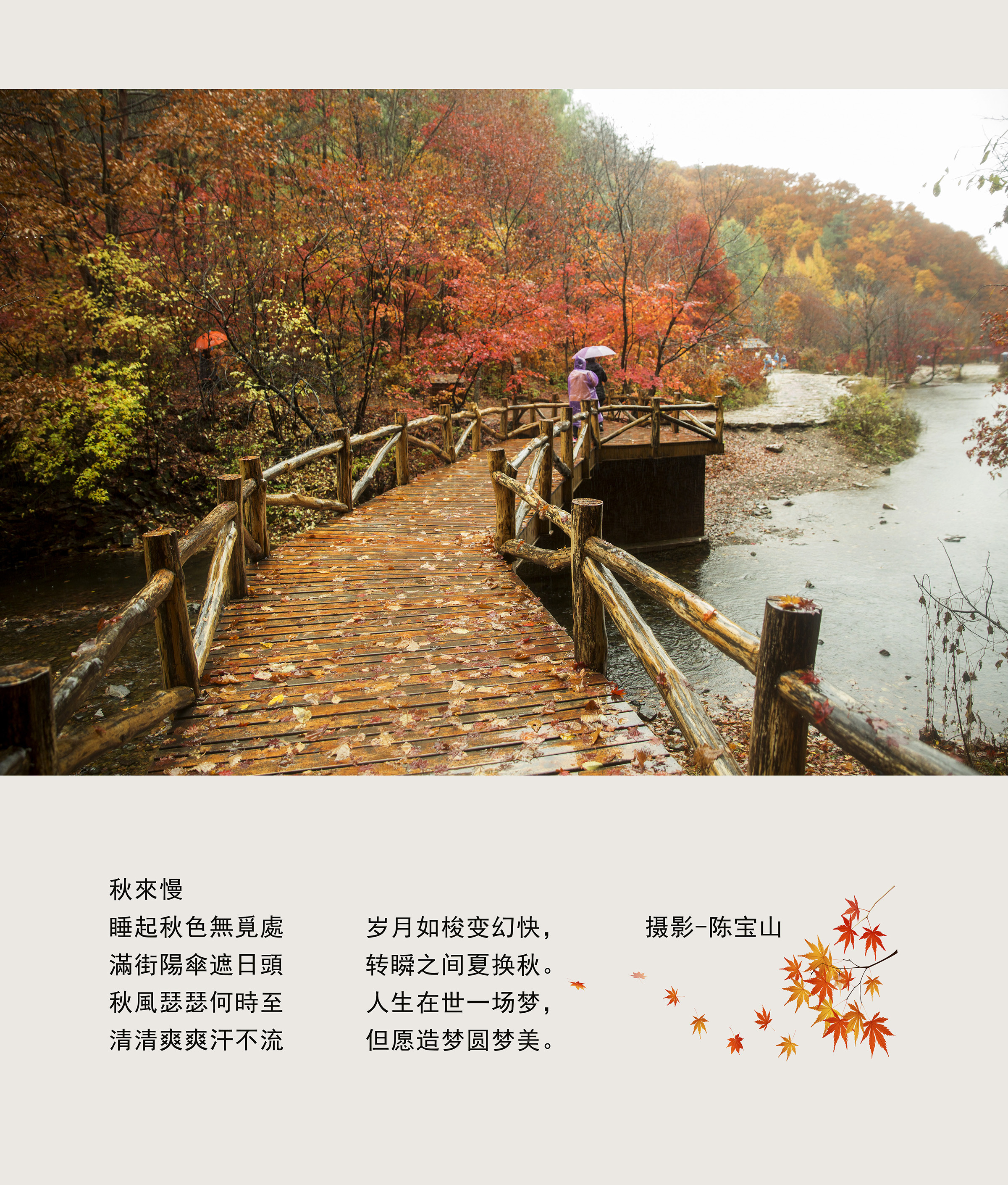 陈宝山，的主播照片