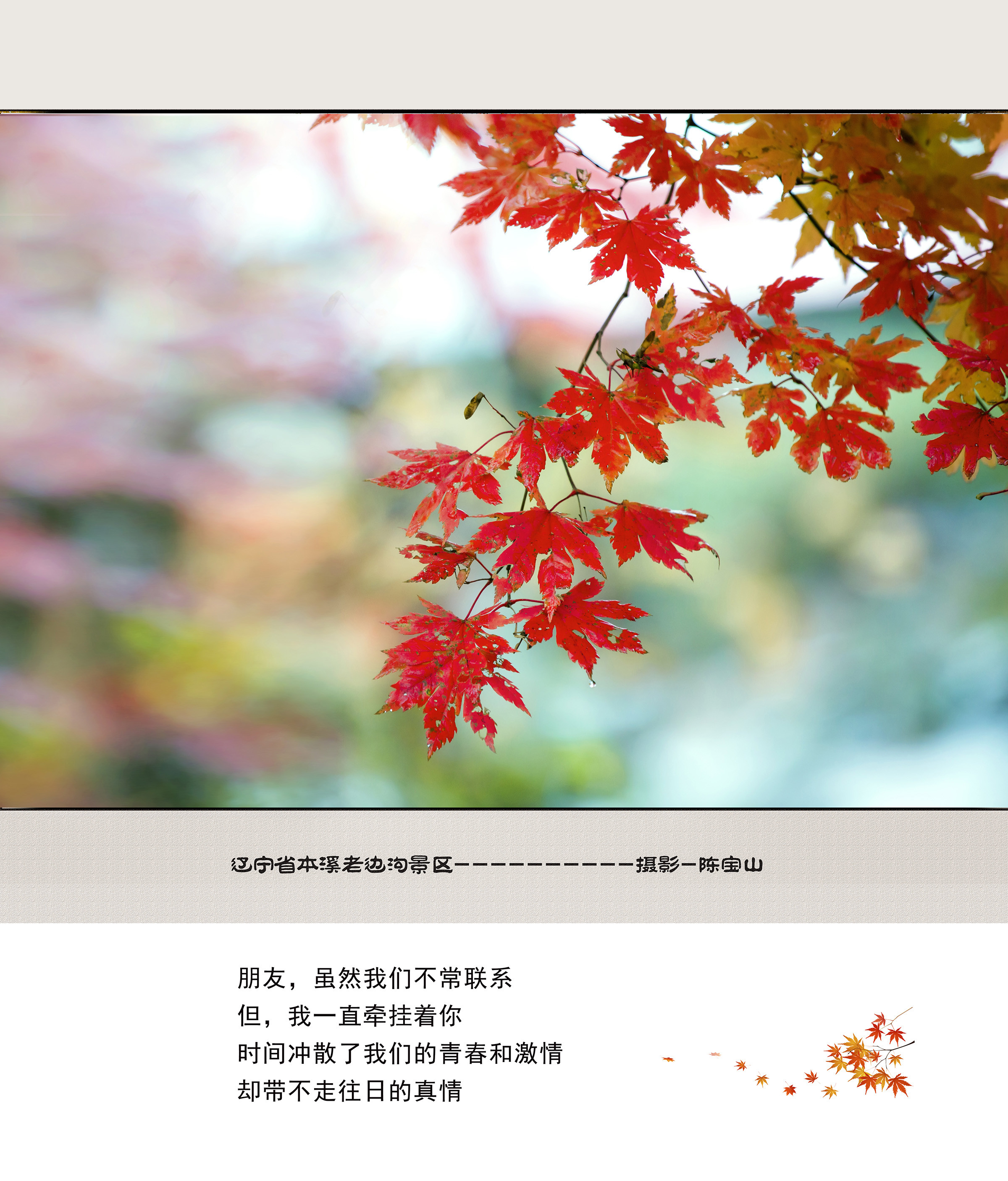 陈宝山，的主播照片