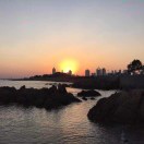陈忠良1595480