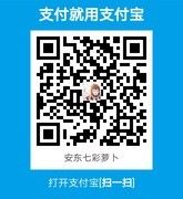 安东七彩萝卜海报