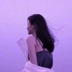 茉莉花会开