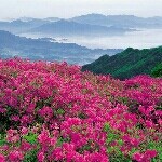 ☞永恒☜果果专属99的头像