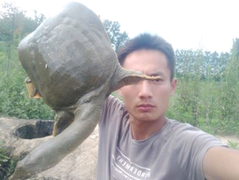 简简单单7qh主播照片