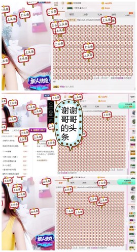 丹丹求守护主播照片