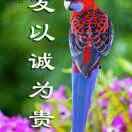 酸甜苦辣*r海报