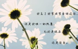 玫瑰花4113025主播照片