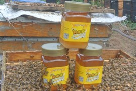 山东农副土特产品主播照片