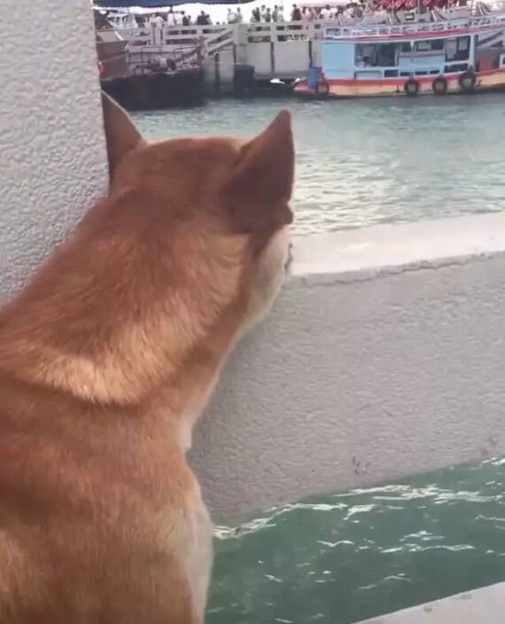 昵称违规，请重新修改的主播照片