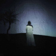 小楼一夜听风雨√