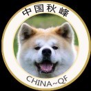 秋田犬秋峰秋田犬舍海报