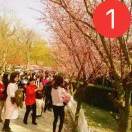 对接大团队领导人~俑