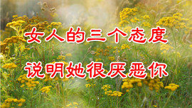 才子感情主播照片