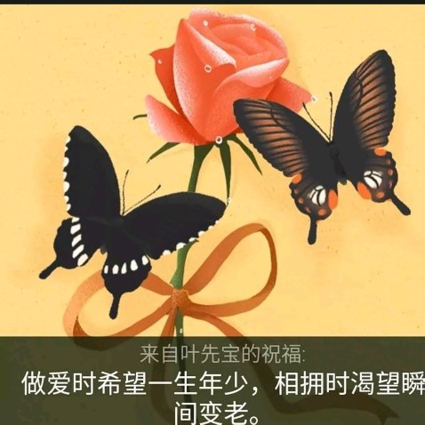 唉唉😔真不该下凡☝的主播照片