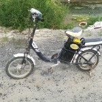 不懂坚强只会死撑海报