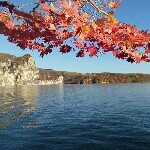 红双喜0f海报
