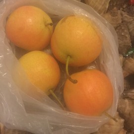 新人21😌主播照片
