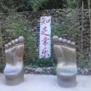钓鱼人jh海报