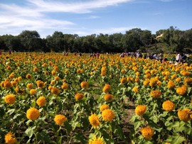 九零后小奋青主播照片