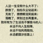 从你的世界路过👉
