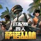 。c4x海报