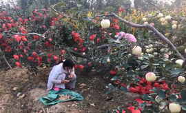 逍遥快活的人主播照片