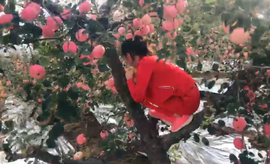 逍遥快活的人主播照片