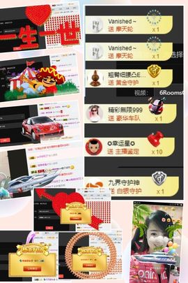 海鸽休息几天主播照片