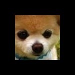 上古元婴
