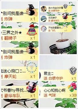 （木）木木木木木木木主播照片