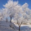 脚踩蜗牛去兜风海报