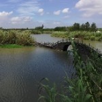 水城路上