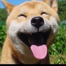 南翔x海报