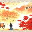 feial的头像