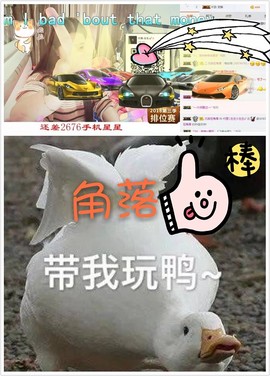 代理小左左✔全天营业主播照片