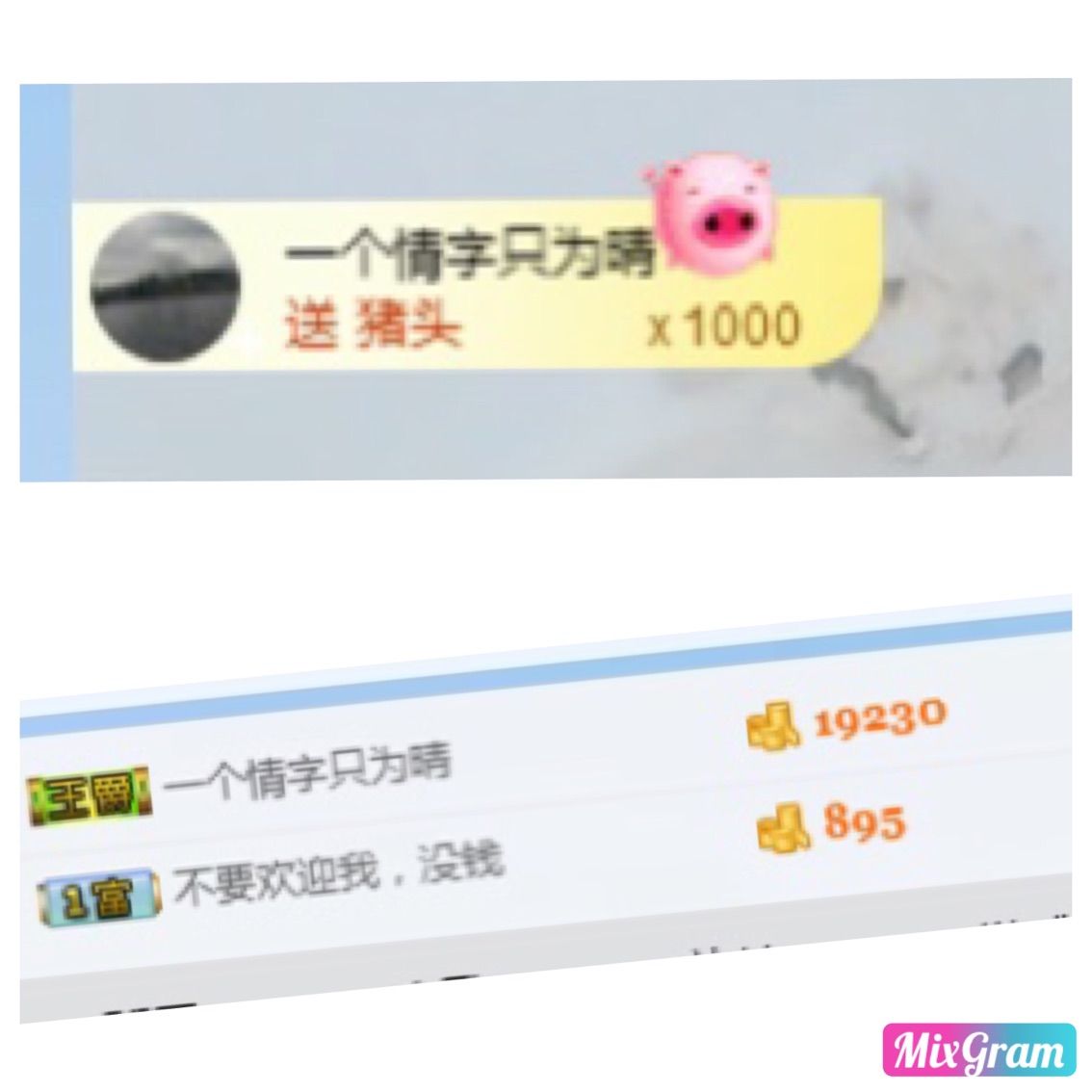 野貓，還是小野貓的主播照片