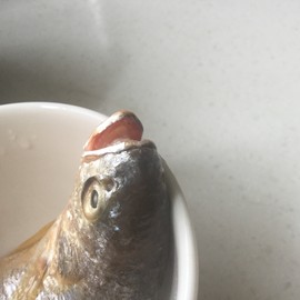 新人21😌主播照片