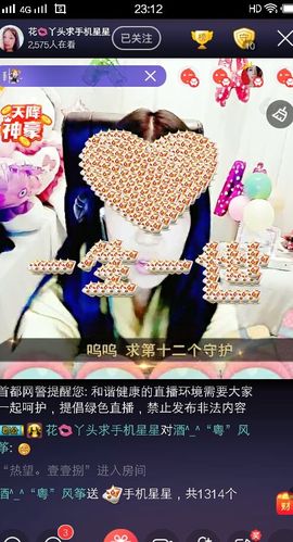 花🐥丫头主播照片
