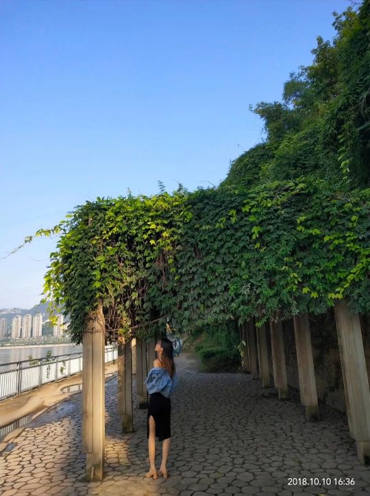 ch_瞳大人🍂主播照片
