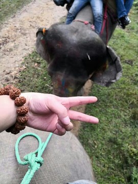 成都酒神哥主播照片