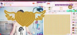 一只雁~主播照片