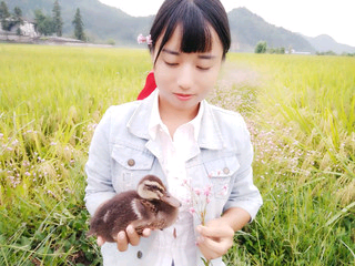 微信_9430887的主播照片