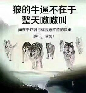 ✨烈酒🌙的主播照片